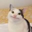 MEOWI