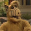Alf