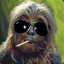 Wookie