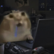 sanguchito