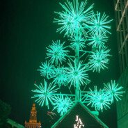 季节更迭，岁月向冉