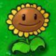 是不是阳光给多了