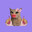 Kattmjaow