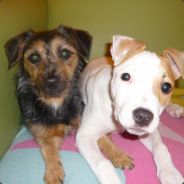 russiaN hacker ^^ try agaiN