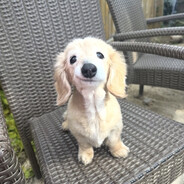 Sam