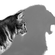 HaNoi - steam id 76561198281559401