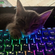 alfie - steam id 76561198364292869