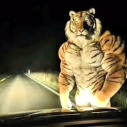 medya bespredel - steam id 76561198106498202