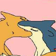 Charizard Simp