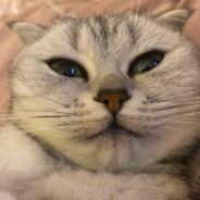 老弟你还是太年轻