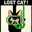 Lost Cat