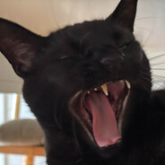 Redissant - steam id 76561198740850091