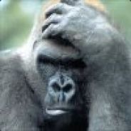 Kong - steam id 76561197968565713