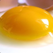 Egg Yolk