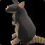 Rat (Level-1)