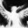 TALENT | KyCo4EK_X_makron