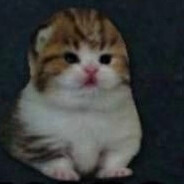 Ultra_2fort's avatar