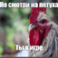 СТРОГОСТЬ
