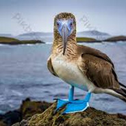 OLYX | Чушпан#ultimaterust