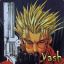 DarkVash