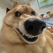 Dimentarius Seomegon