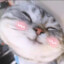 QQQQQQQQQQQQQQQQQQQQ