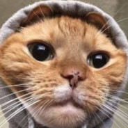 𝙸𝚛𝚒𝚗𝟺𝚒𝚔