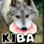 [FR0G]Kiba