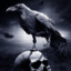 Raven9627