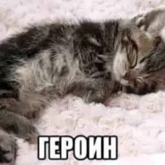 обалдуй - steam id 76561199497565141