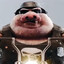 Silvestr