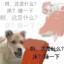 王之睡觉
