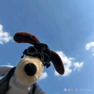 我的眼睛就是尺