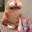 NatzKatze