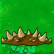 扎ding的好看地刺