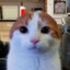 eg