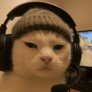 kaczor