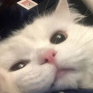 薯片我撒干燥剂吃完增长记忆力