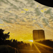 爷傲。。。奈我何。