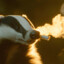 The Smoking Badger
