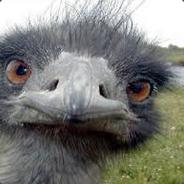 Wrebbit007 (QC) - steam id 76561197970389201