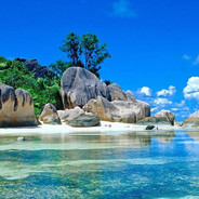 Vitality的apex本人