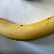 电脑玩家特朗普