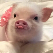 люблю кислеь