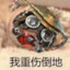 我是Apex糕手