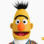 Bert