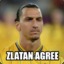 ZLATAN AGREES