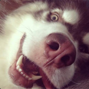 拆迁狂魔·二哈