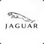 Jaguar™