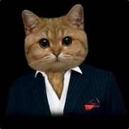 🐱 - Cat - 🐱